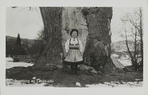 Ingebjorg og Lande-eiki - no-nb digifoto 20140808 00017 bldsa PK18342b.jpg