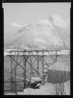 106. Innfjord - no-nb digifoto 20150205 00124 NB MIT FNR 15795.jpg