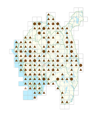 Iris pseudacorus.png