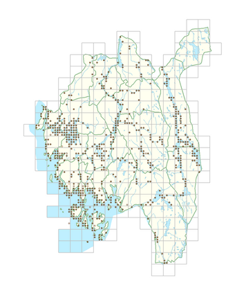 Iris pseudacorus 1.png