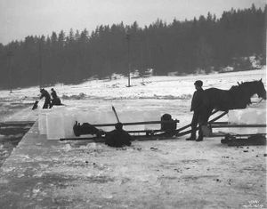 Isdrift på Nesøytjernet.jpg