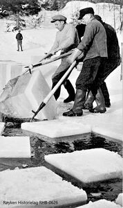 Fra Isskjæring på en av dammene ved Båtstø eller Høvik-dammene ca. 1960. Isblokkene kunne være 60x60x60 cm og veie opp mot 200 kg. De måtte først opp på isen, deretter opp på sleden som fraktet dem til isstabelen eller lasteplassen. Mennene på bildet er Fredrik Høvik, Willy Edvardsen, Hans Haugan(Fotograf ukjent) .