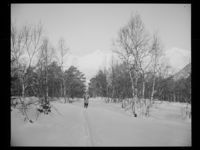 103. Istindene fra Vengjedalen - no-nb digifoto 20150205 00144 NB MIT FNR 15770.jpg