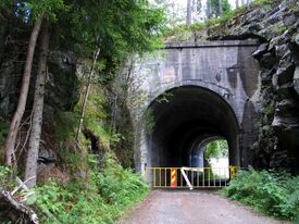 Tunnelen som førte sidesporet til kraftverksområdet. Foto: Siri Johannessen (2017).