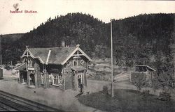 Iveland stasjon 1908. Ukjent/Postkort