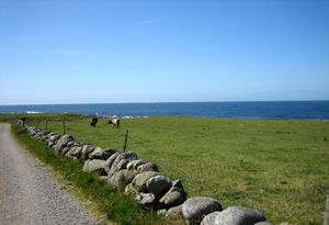 Jæren sommeren 2009.jpg