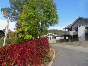 Jørgen Moes gate Kongsberg 2014.jpg