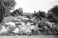 Stasjonsparken på Ring stasjon 1954. Foto Jernbanemuseet.