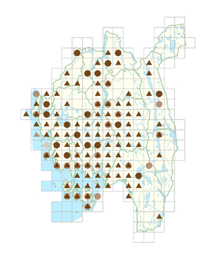 Jacobaea vulgaris.png