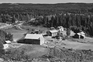 Jammerdal vestre og mellom Brandval Finnskog 1959.jpg