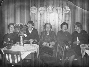 Jaren sanitetsforening HF1996 3 1.jpeg