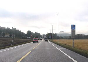 Jarlsberglinna Tønsberg 2013.jpg