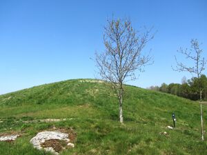 Jellhaugen Halden 2012.JPG