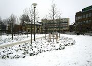 Jenny Braatens plass Oslo.jpg