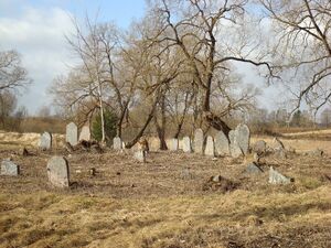Jewish cemetery - panoramio (7).jpg