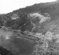 Bru over Nidelva ved Sluppen under bygging 1862.