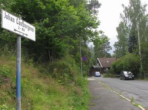 Johan Castbergs vei Oslo 2012.jpg