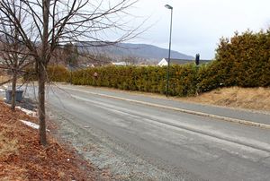 Johan Drengsruds vei Asker 2016.jpg