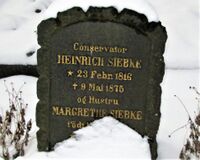 Konservator og naturforsker Johan Heinrich Spalckhawer Siebke er gravlagt på Gamle Aker kirkegård. Foto: Stig Rune Pedersen