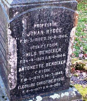 Johan Rygge professor gravminne.jpg