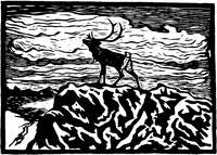 «Einsam». John Savio.