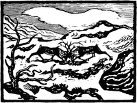 «Kjempande reinbukkar». John Savio.