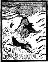 «Reinkjøring over vidda»