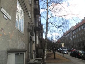 Jonas Reins gate Oslo 2013.jpg