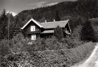 Jonsborg i Fyresdal .png