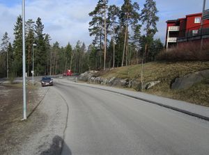 Jordstjerneveien Oslo 2015.jpg