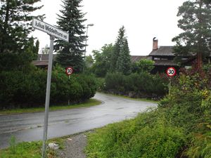 Julius Middelthuns vei Kongsberg 2015.jpg