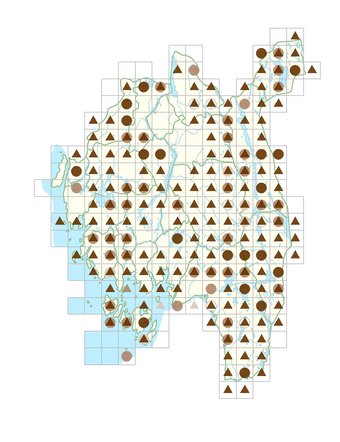 Juncus bulbosus subsp. bulbosus.png