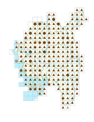 Juncus filiformis.png