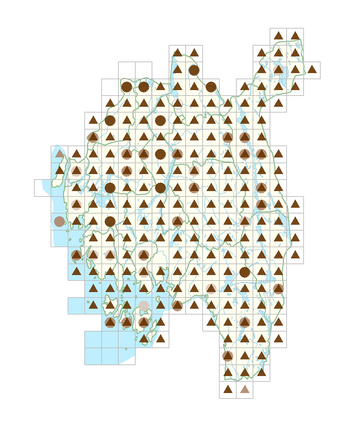 Juncus filiformis.png