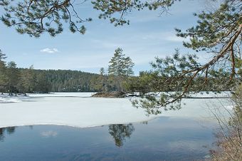 Junger (Pis-1200px-jungervar-01-jungerbekken-24-web20).jpg