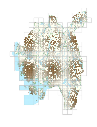 Juniperus communis subsp. communis 1.png