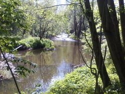 Sagelva flyter rolig forbi Kølabånn. Mølleparken ligger opp til venstre.