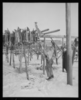 270. Kabelvåg, Fisk på hjel - no-nb digifoto 20151126 00043 NB MIT FNR 09824.jpg