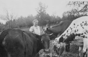 Kallrustad 1949 Petra kuer.jpg