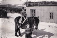 135. Kallrustad hest.jpg