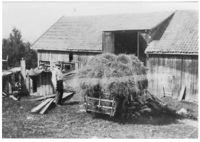 38. Kallrustad hoykjoring.jpg