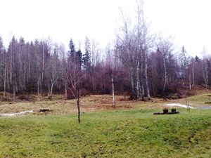 Kallrustadberget mild november 2012.jpg