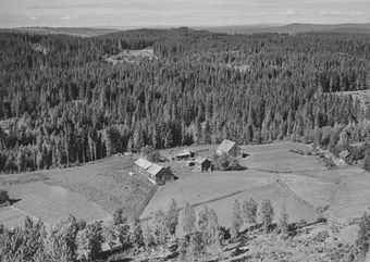 Kalmyra nedre under Øiset øvre Kongsvinger 1956.jpg