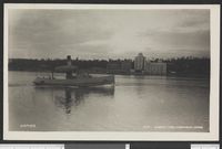 109. Kambo - no-nb digifoto 20150730 00016 bldsa PK30676.jpg