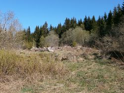 Ruiner av Kamphaug. Foto: Chris Nyborg (2014).