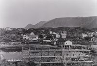 48. Kanstadsamlingen - NMF010005-00001a.jpg