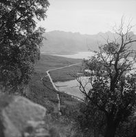 319. Kanstadsamlingen - NMF010005-00015.jpg