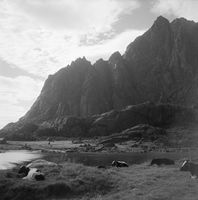 325. Kanstadsamlingen - NMF010005-00033.jpg