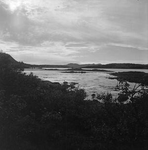 Kanstadsamlingen - NMF010005-00037b.jpg