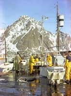 68. Kanstadsamlingen - NMF010005-00250.jpg